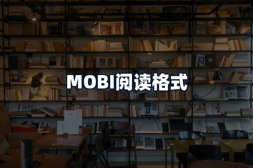 MOBI阅读格式